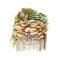 Maitake mushroom bunch on a mossy stump. Watercolor illustration. Hand painted Grifola frondosa fungi. Maitake fresh