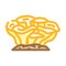 maitake mushroom color icon vector illustration