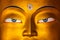 Maitreya Buddha face close up, Ladakh