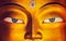 Maitreya Buddha face close up, Thiksey Gompa, Ladakh