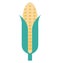 Maize, Corn Color Isolated Vector Icon