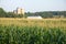 Maize field