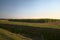 A maize field with scythed plants in the countryside in late summer. during harvesting