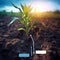 Maize seedling in cultivated agricultural field with infographic elements. Smart farming with IoT. Blurred background