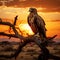 Majestic African eagle perched on a tree branch during sunset