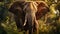 Majestic African Elephant in Enchanting Rainforest