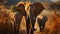 Majestic African elephant herd walking in the wilderness at sunset generated by AI