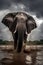 Majestic african elephant in the river. Amazing Wildlife. Generative Ai