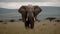 Majestic African elephant standing in Ngorongoro Conservation Area generated by AI