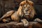 Majestic African Lion Resting on Weathered Rock