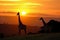 Majestic African Safari. Graceful Giraffe in Serene Beauty of Vast Savannah