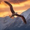 Majestic Albatross Soaring Over Antarctic Sunset