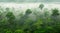 majestic amazon forest with mist