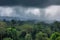 majestic amazon rainforest, with misty clouds and thunderstorm in the background