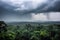 majestic amazon rainforest, with misty clouds and thunderstorm in the background