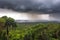 majestic amazon rainforest, with misty clouds and thunderstorm in the background
