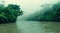 majestic amazon river with mist in a beautiful sunrise, forested area