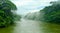 majestic amazon river with mist in a beautiful sunrise, forested area in high definition and high sharpness