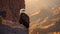 Majestic American Bald Eagle