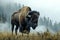 Majestic American bison nature. Generate Ai