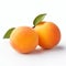 Majestic Apricots: A Monochromatic Delight On White Background