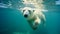 Majestic arctic mammal swimming underwater, looking at camera generated by AI