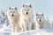 Majestic Arctic Wolves