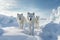 Majestic Arctic Wolves