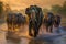 Majestic Asian Elephants