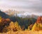 Majestic autumn rural scenery. Landscape with beautiful mountains, fields and forests covered with morning fog. Touristic place.