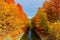 Majestic autumn season gorgeous landscape scenery background, nice sunny enjoyable day