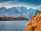 Majestic autumn view of Cheserys lake with Mount Blanc on background, Chamonix location.