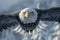 Majestic Bald Eagle in Flight with Intense Stare, Snowy Background, Nature Wildlife Bird of Prey, American Symbol of Freedom