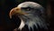 Majestic bald eagle flying with sharp talons generated by AI