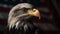 Majestic bald eagle headshot portrait generated by AI