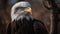 Majestic bald eagle perched on branch, watching generative AI