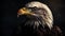 Majestic bald eagle perching, sharp talons visible generated by AI
