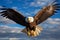 Majestic Bald Eagle Soaring Gracefully in Clear Blue Sky