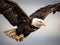 Majestic bald eagle soaring through the sky  created with Generative AI