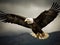 Majestic bald eagle soaring through the sky  created with Generative AI