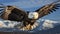 Majestic bald eagle soars in snowy mountain landscape generated by AI