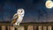 A majestic barn owl perched on a weathered wooden fencepost under the light of a full moon
