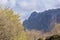 Majestic Basque Peaks: Enchanting Image of Trees Amidst the Serene Mountain Landscape in Basque Country