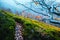 Majestic beech branches with orange leaves at autumn mountains