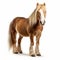 Majestic Belgian Horse In Light Brown And White On White Background