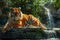 Majestic Bengal Tiger Lounging by a Waterfall in Lush Green Jungle Environment