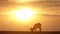 Majestic Big Horn Sheep Silhouetted Against Sunset on Grassland in Badlands National Park