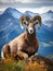 Majestic Bighorn Sheep in mountain habitat