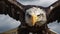 Majestic bird of prey, the bald eagle, spreads its wings generated by AI