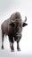 Majestic Bison. Minimalistic Portrait. Generative AI